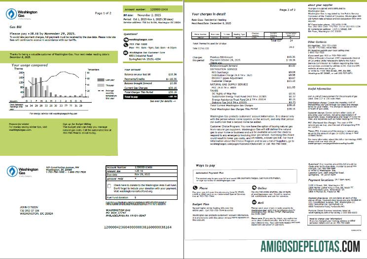 imprimível Modelo de conta de serviços públicos de gás dos EUA Washington em formatos Word e PDF, 2 páginas